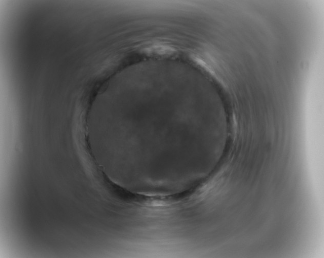 X0000088461297200706051317