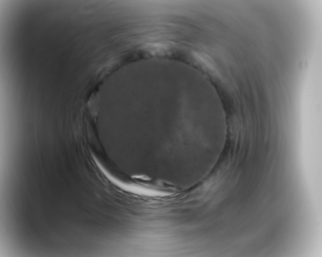 X0000088461298200706051317