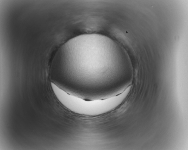 X0000088461300200706051317