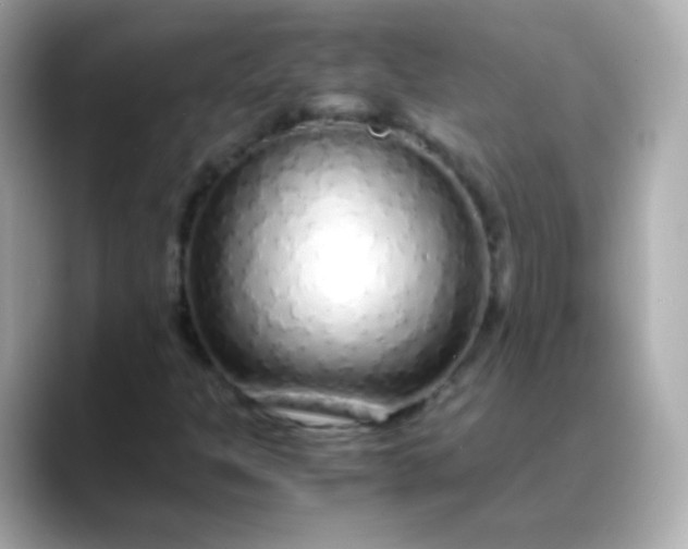 X0000088461301200706051317