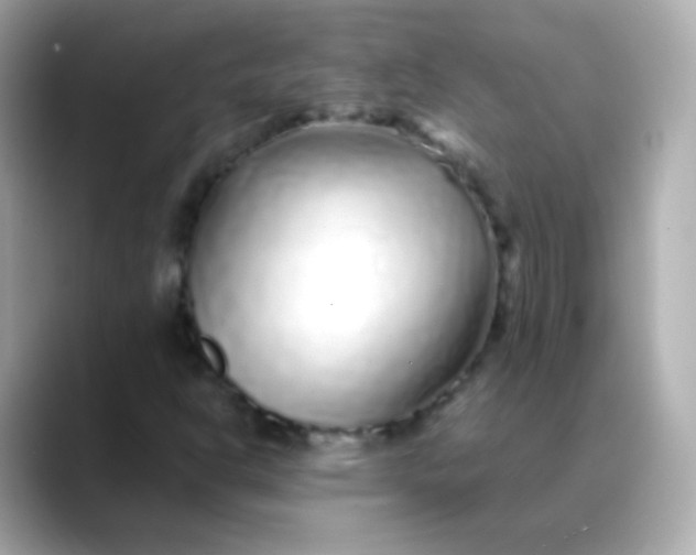 X0000088461302200706051317