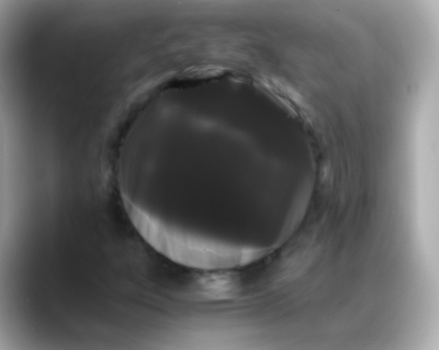 X0000088461303200706051317