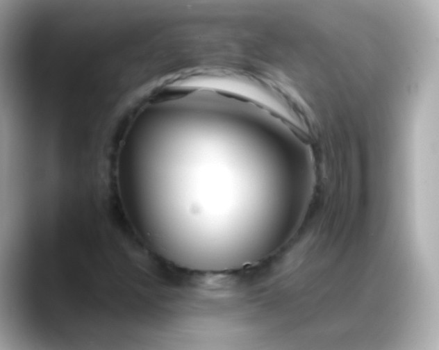 X0000088461304200706051317