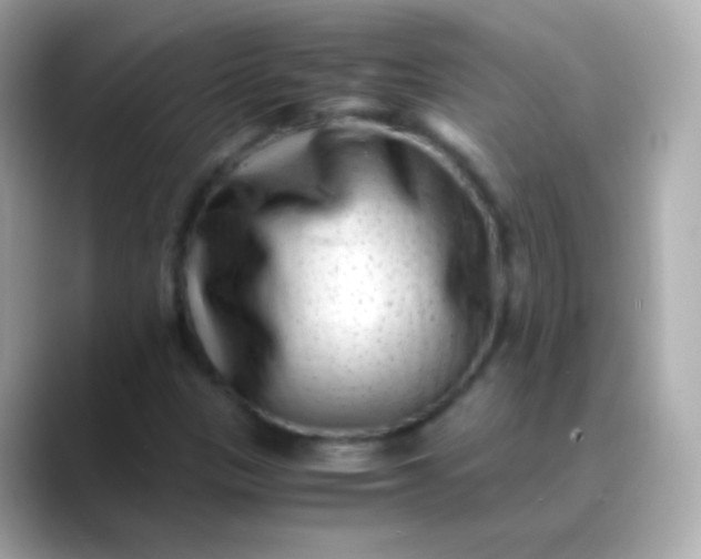 X0000088461305200706051317