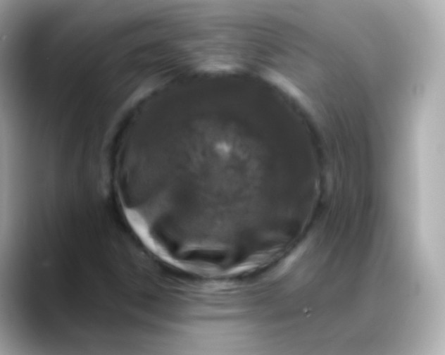 X0000088461306200706051317