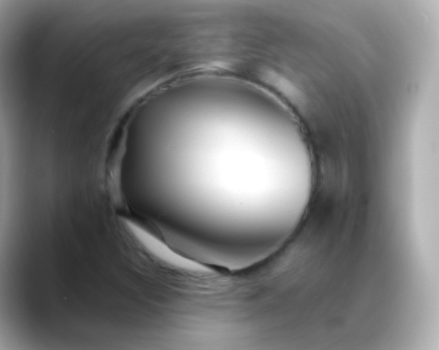 X0000088461308200706051317