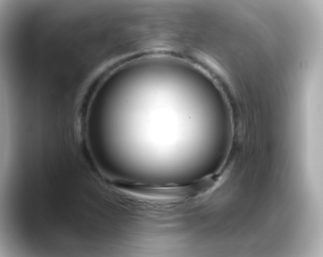 X0000088461310200706051317