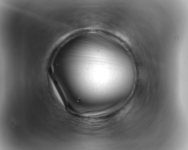 X0000088461311200706051317