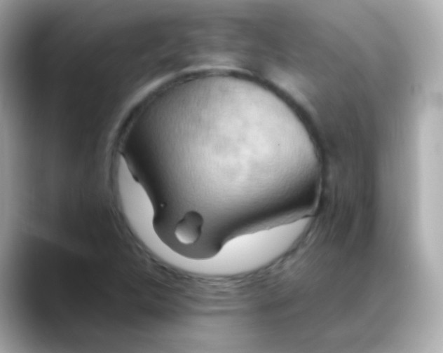 X0000088461312200706051317