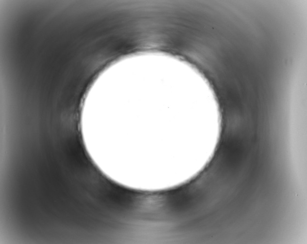 X0000088461314200706051317