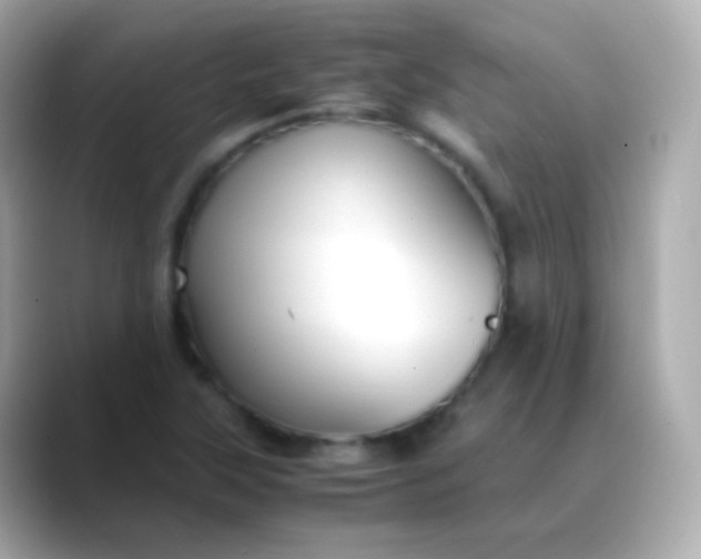 X0000088461315200706051317