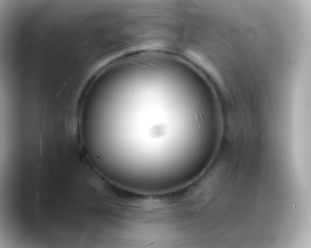 X0000088461316200706051317