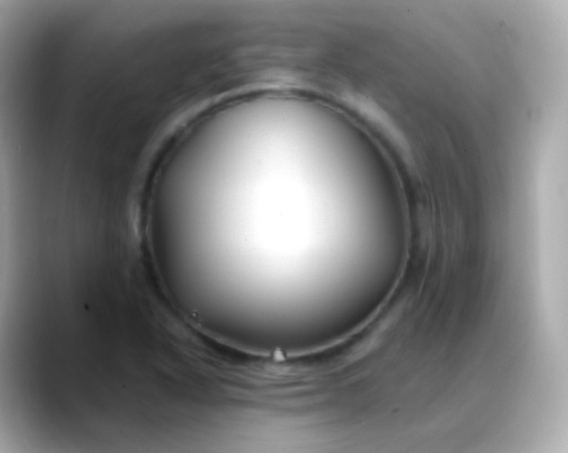 X0000088461318200706051317