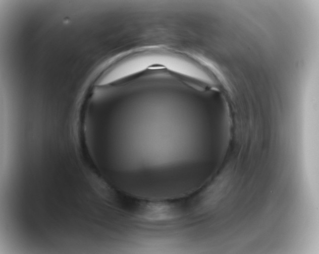 X0000088461319200706051317