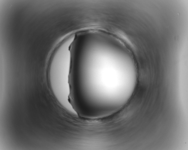 X0000088461320200706051317