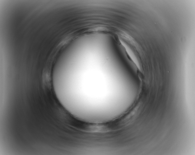 X0000088461321200706051317