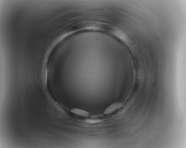 X0000088461323200706051317