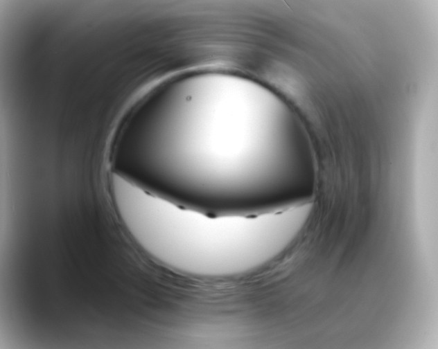 X0000088461324200706051317