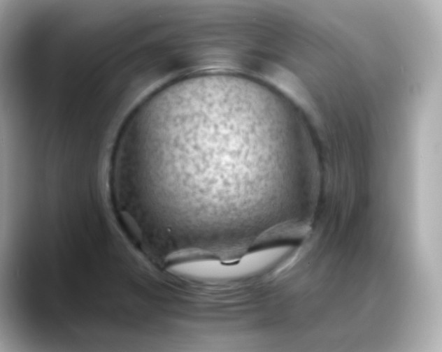 X0000088461325200706051317