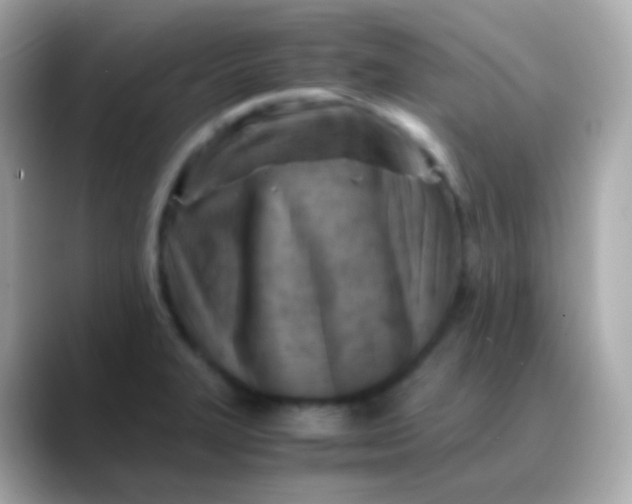 X0000088461327200706051317