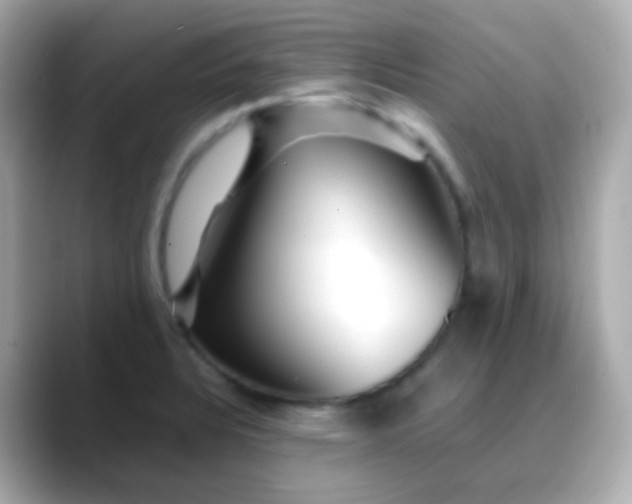 X0000088461328200706051317