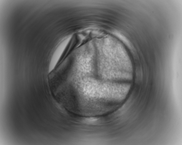 X0000088461329200706051317