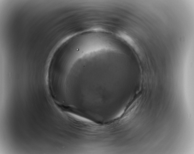 X0000088461331200706051317