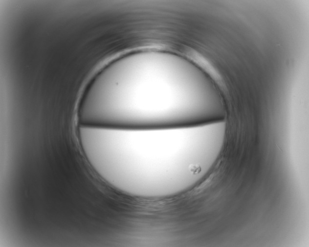 X0000088461332200706051317