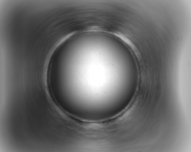 X0000088461333200706051317