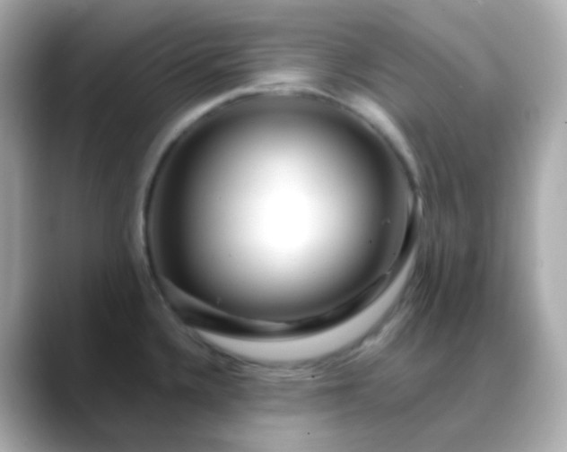 X0000088461336200706051317