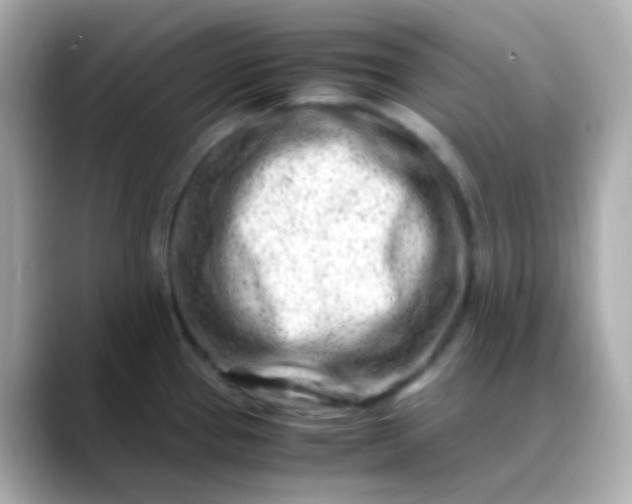 X0000088461337200706051317