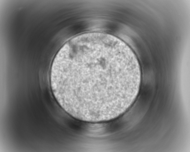 X0000088461338200706051317