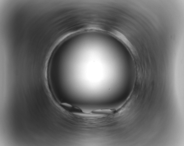 X0000088461339200706051317