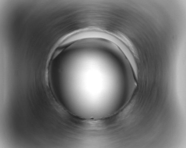 X0000088461340200706051317