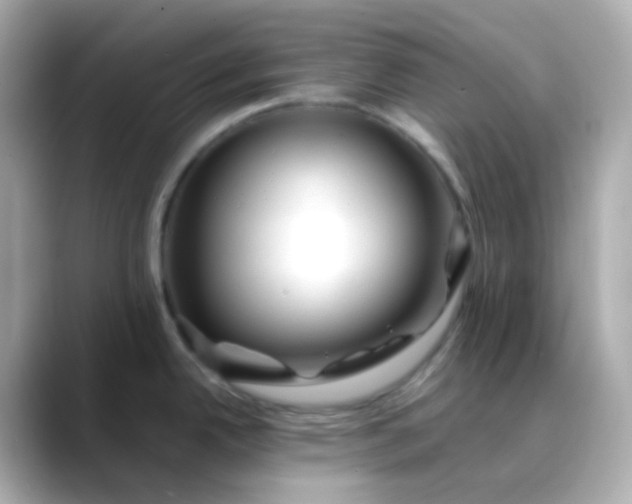 X0000088461342200706051317