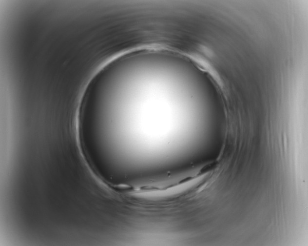 X0000088461343200706051317