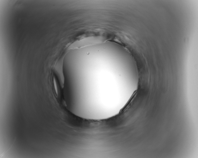 X0000088461345200706051317