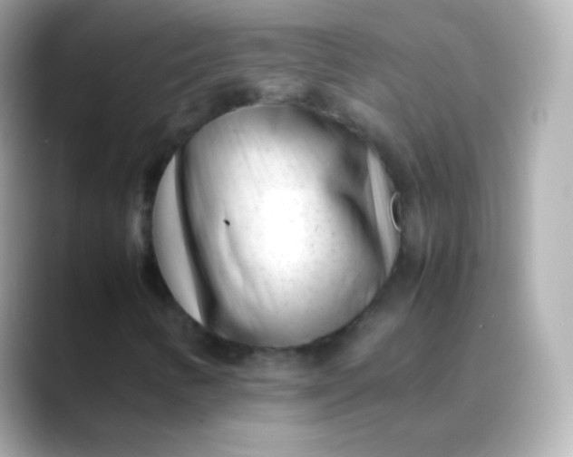 X0000088461346200706051317