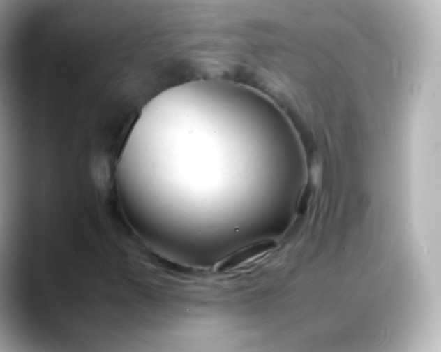 X0000088461347200706051317