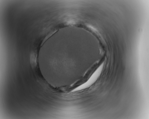 X0000088461348200706051317