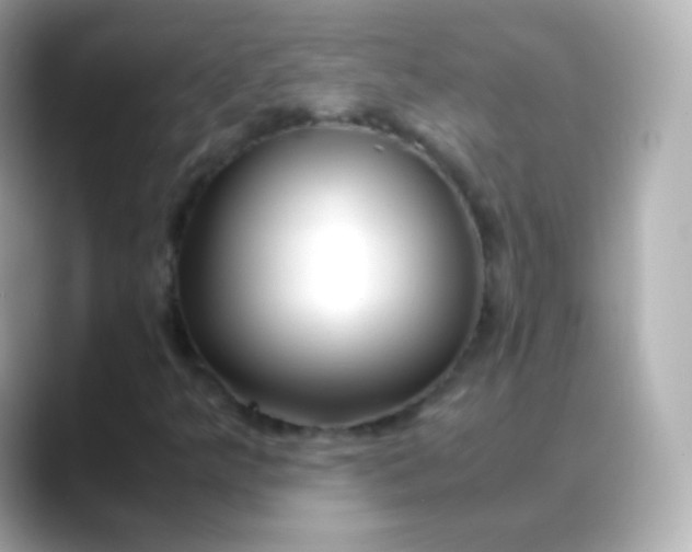 X0000088461349200706051317