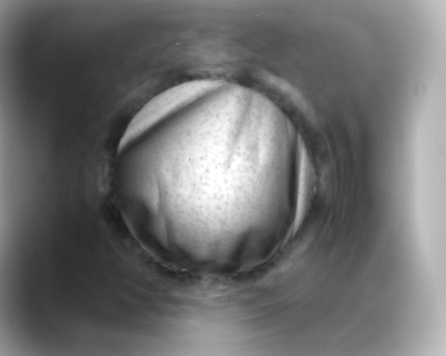 X0000088461350200706051317