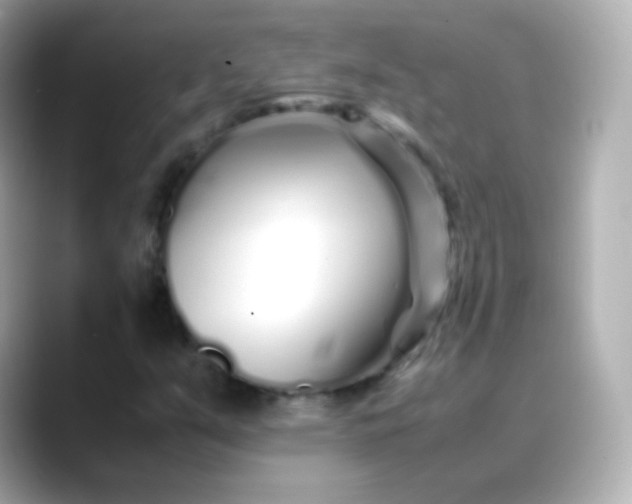 X0000088461351200706051317