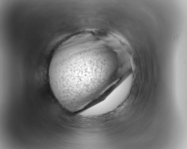 X0000088461352200706051317