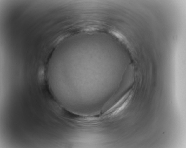 X0000088461353200706051317