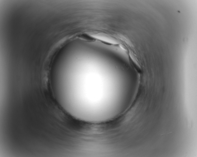 X0000088461355200706051317