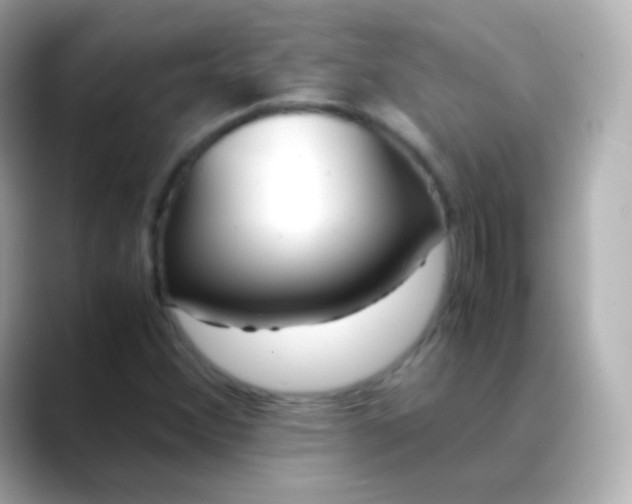 X0000088461356200706051317