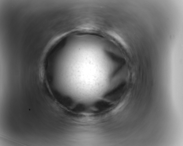 X0000088461358200706051317