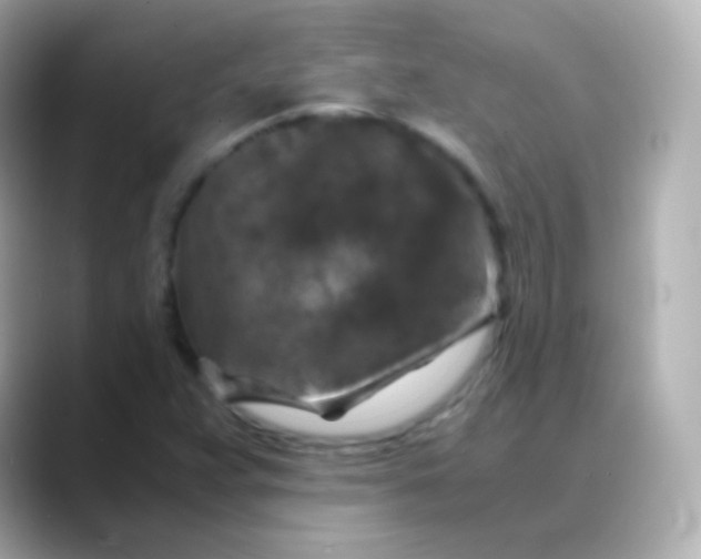 X0000088461359200706051317