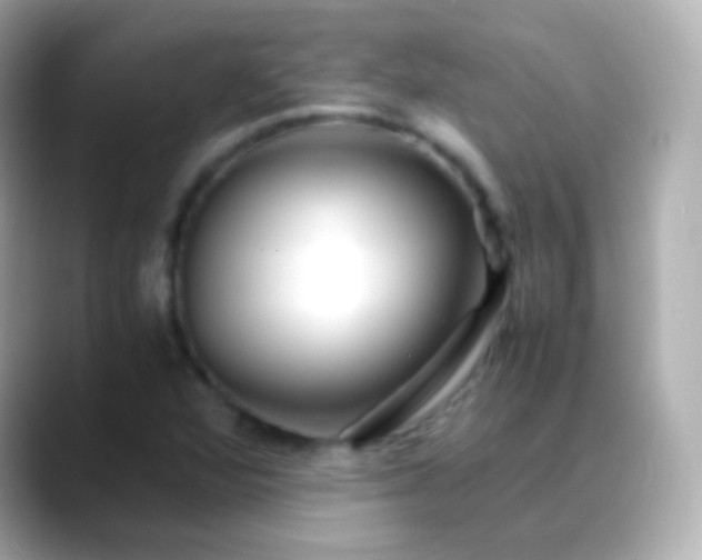 X0000088461360200706051317